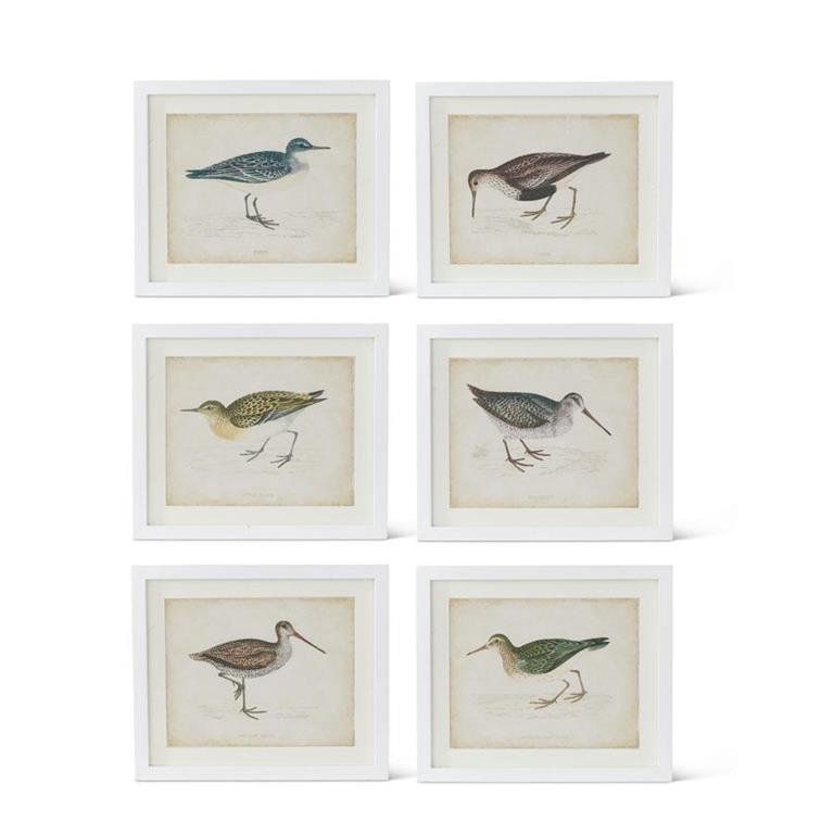 Coastal Bird Prints w/White Frames