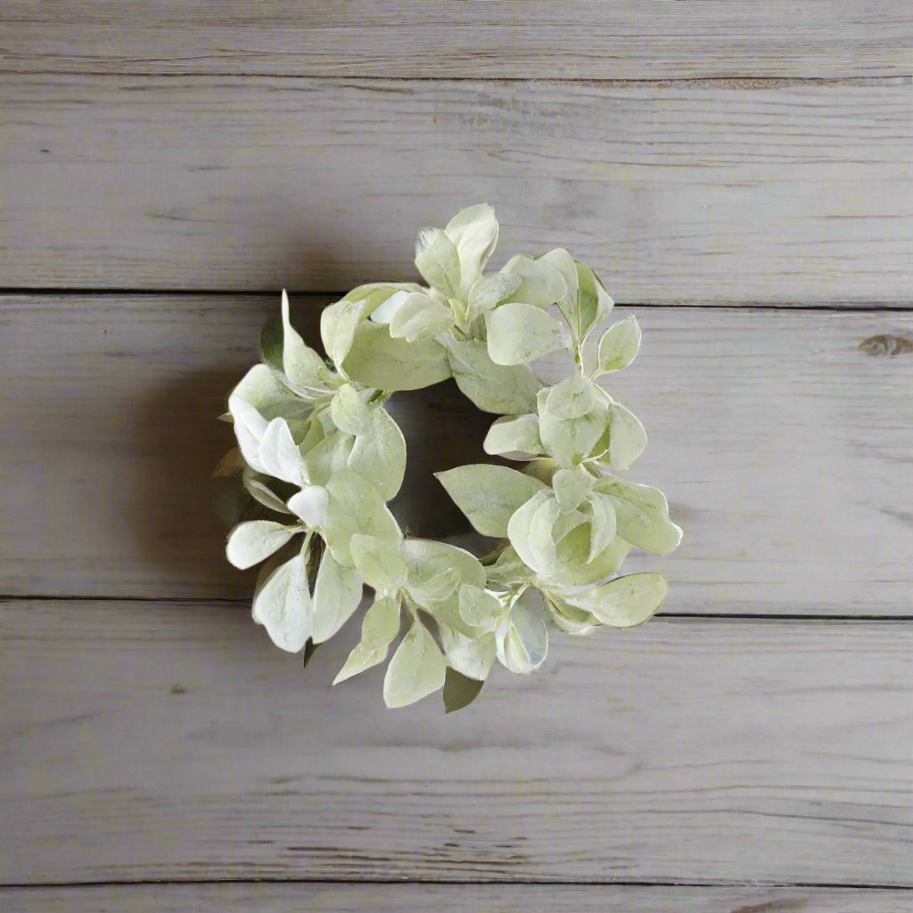 11 Inch Lambs Ear Candle Ring (4.5Dia.)