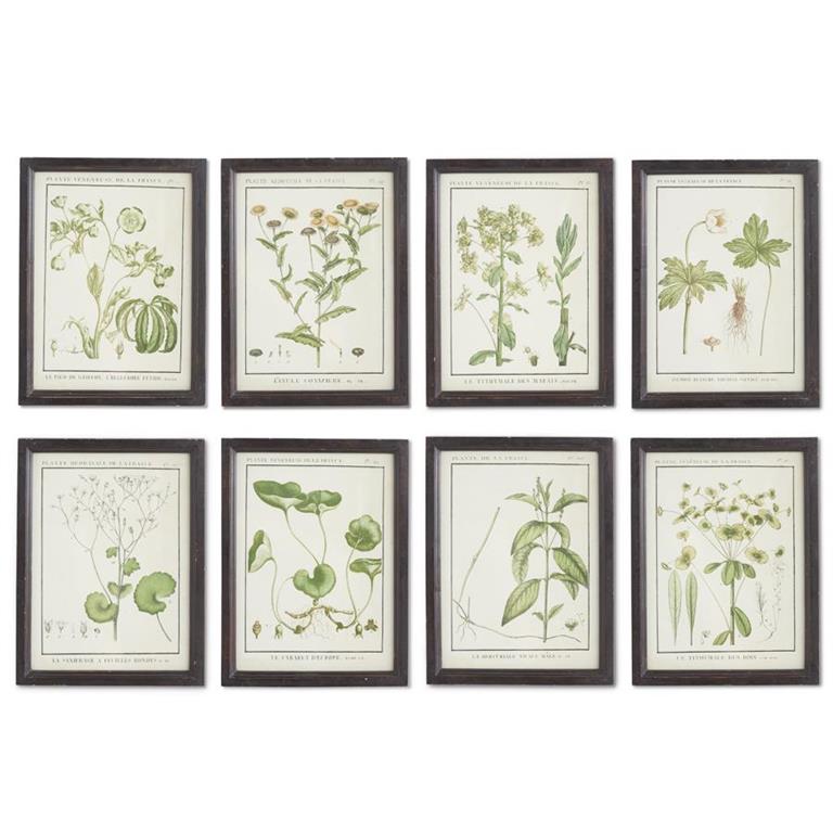 13 Inch Leafy Botanical Prints