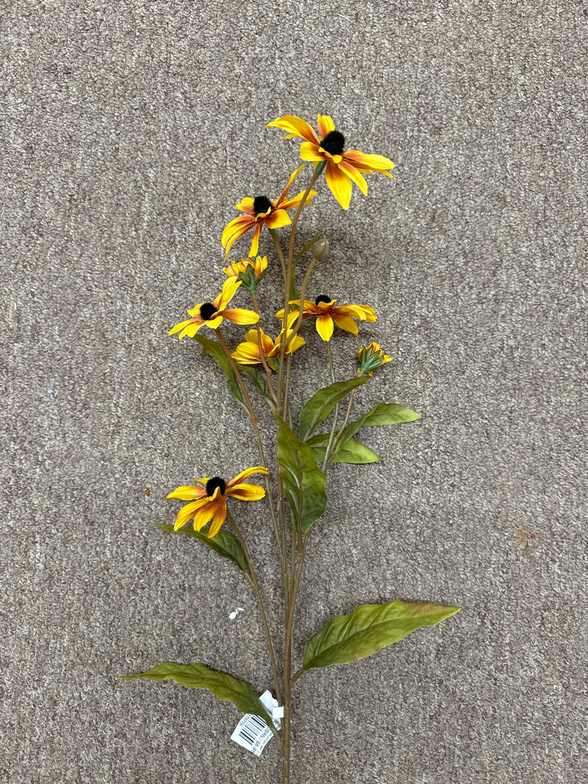 BLACK-EYED SUSAN SPRAY, 39"; 2.5"-3" BLOOMS, GOLD/BROWN