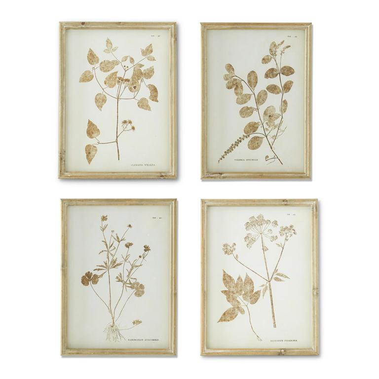 15.75 Inch Brown & White Perennial Prints