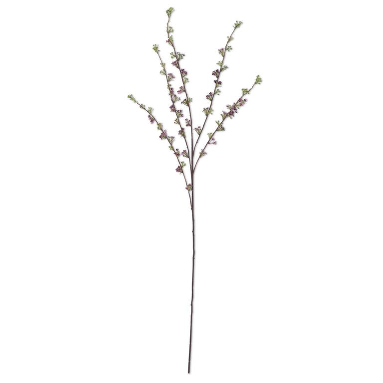 46 Inch Purple Hoary Willow Spray