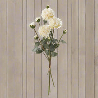 23 Inch Cream Faux Dried Dahlia Bundle (3 Stems)