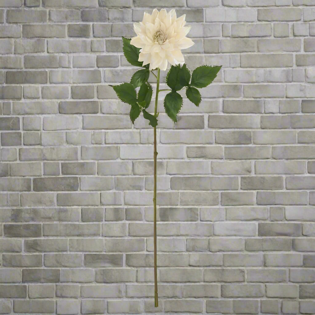 29 Inch Cream Real Touch Dahlia