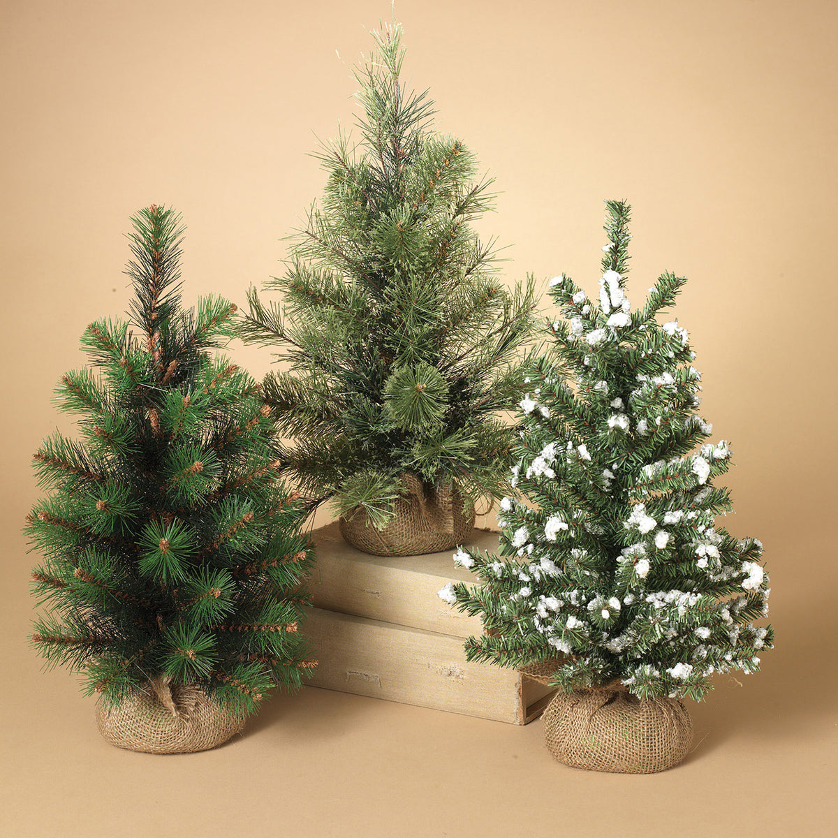 12"H Assorted Pine Trees