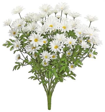 DAISY BUSH, X13, 25.5"; WHITE