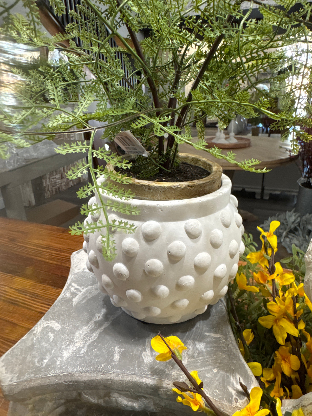 4.5" WHITE DOT POT