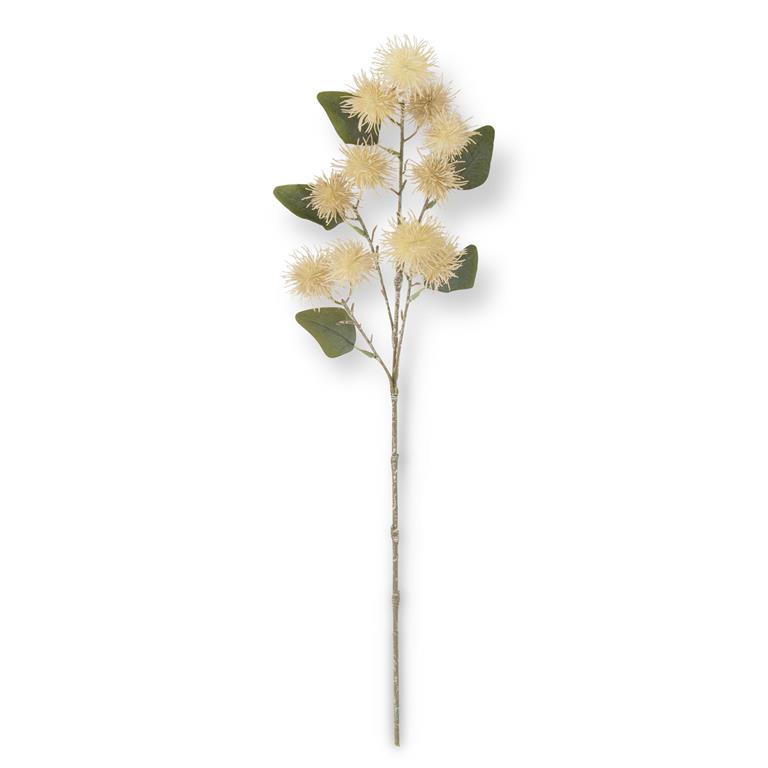 5 Inch Cream Brown Thistle Stem