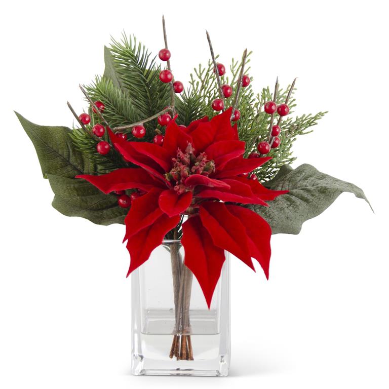 11 Inch Red Poinsettia & Pine Premade in Glass Vase