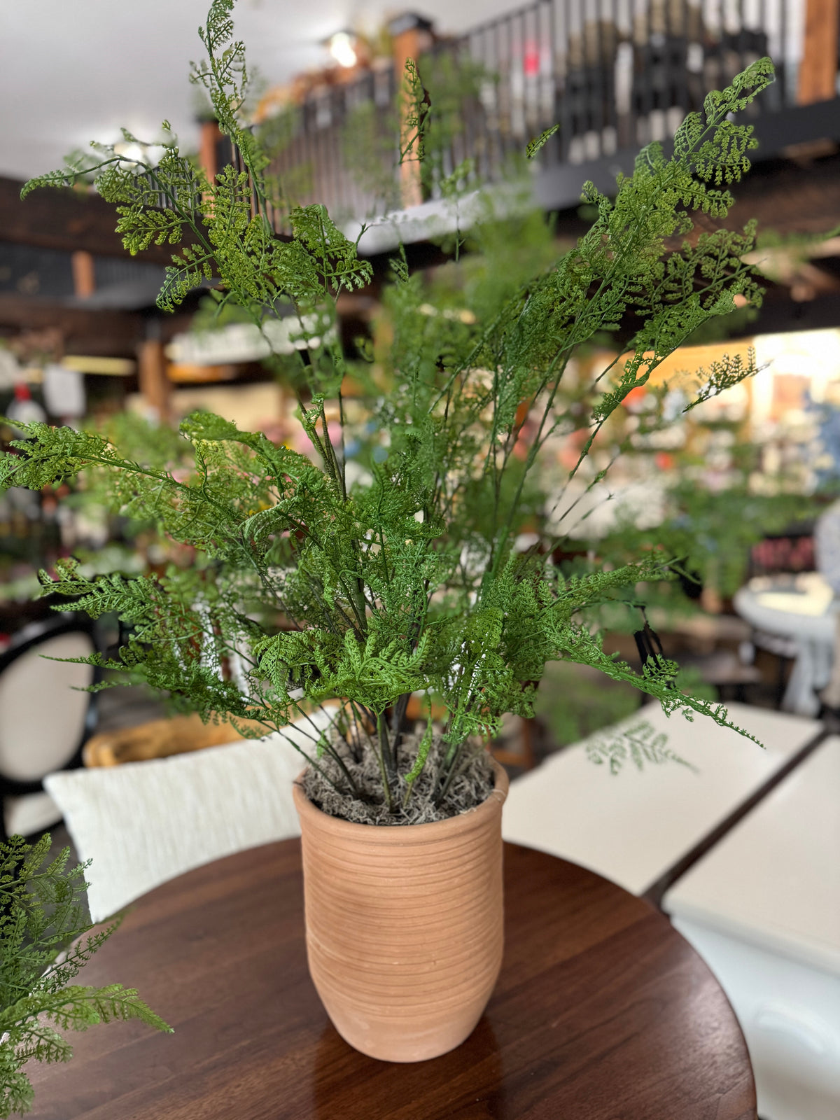 31 Inch Potted Fern Tree Designed by Carolyn