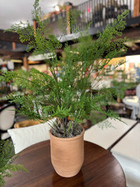 31 Inch Potted Fern Tree Designed by Carolyn