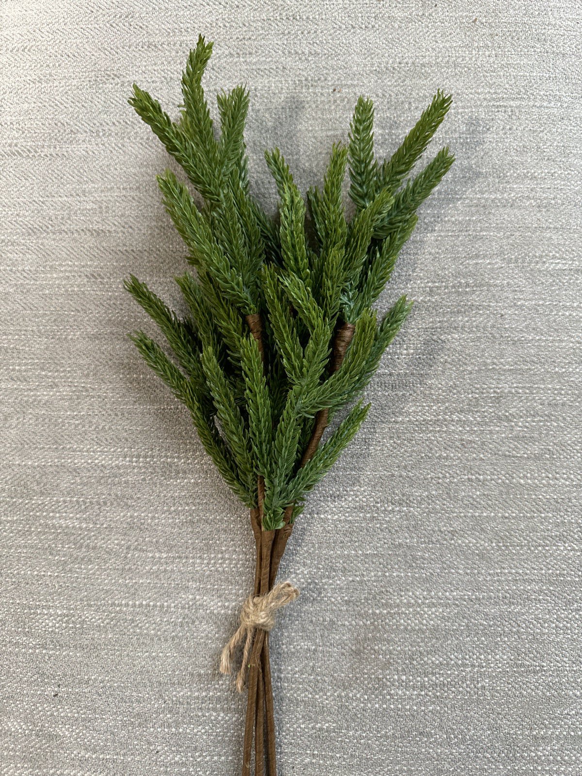 14" Evergreen Pick