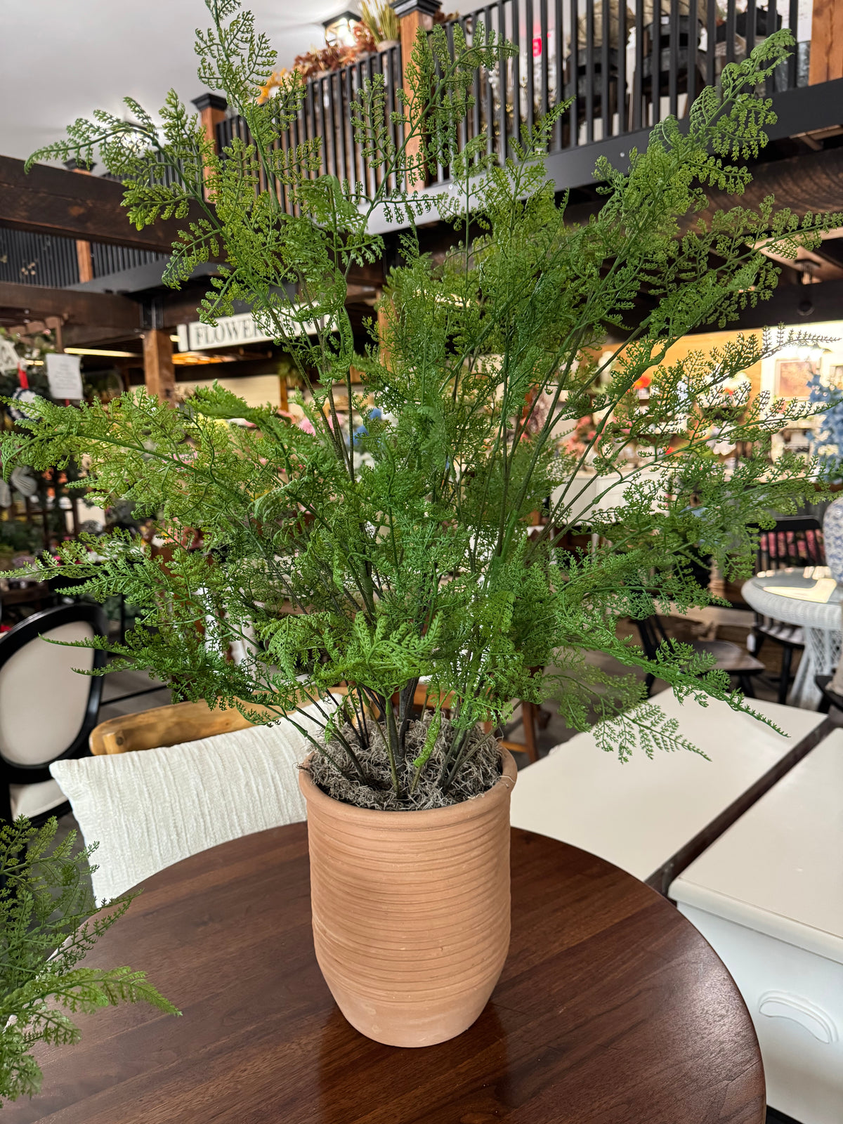 31 Inch Potted Fern Tree Designed by Carolyn