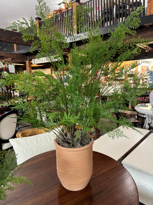 31 Inch Potted Fern Tree Designed by Carolyn