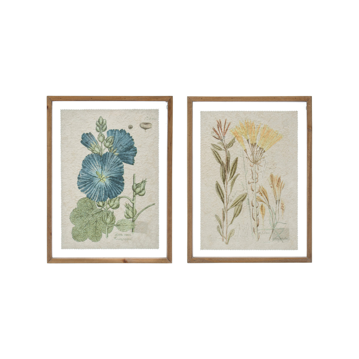 Framed Wall Decor w/Floral Image