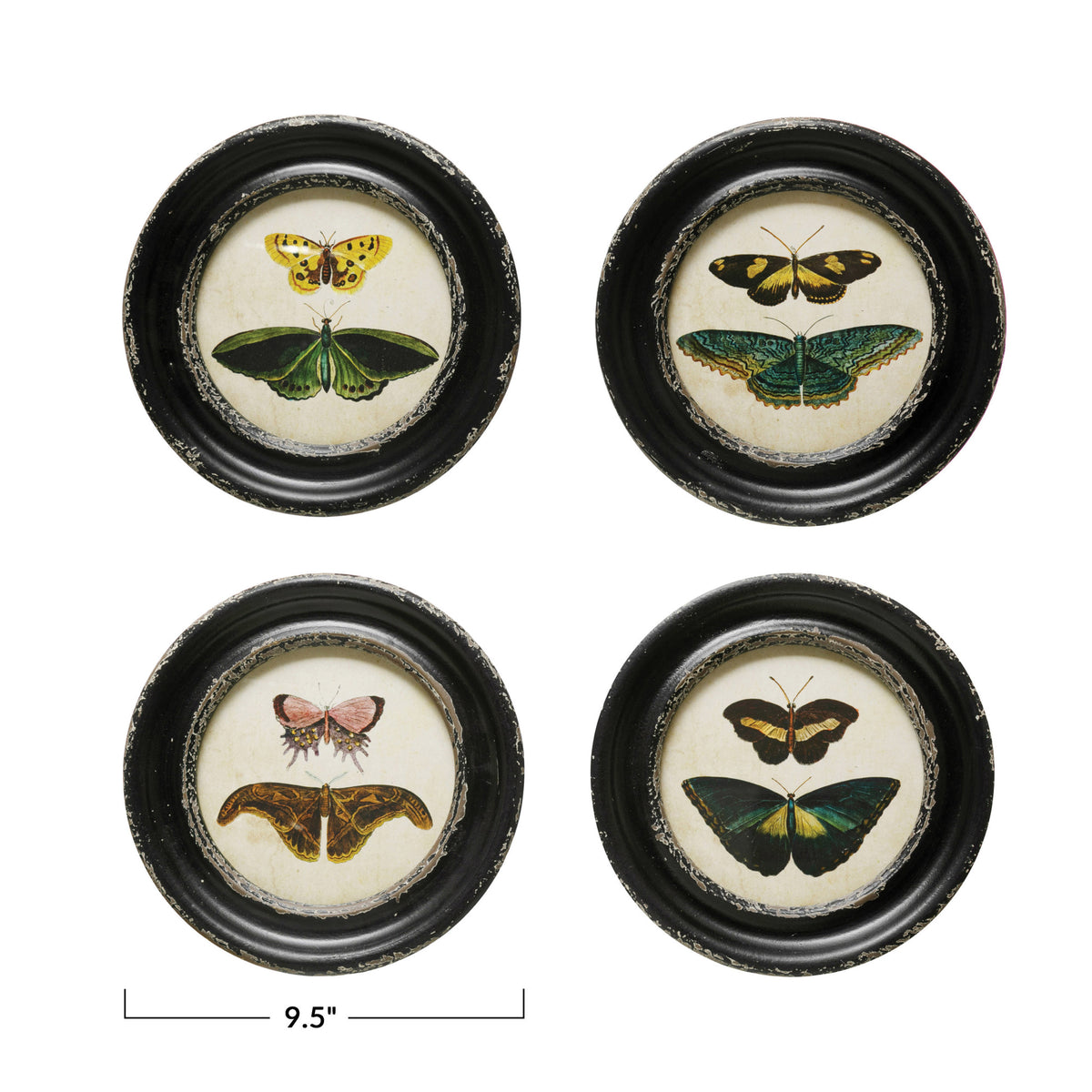 Round Framed Moths/Butterfly Decor