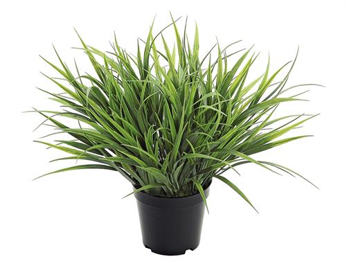 SPIDER GRASS IN POT, 15"; GREEN, PE, UV PROOF