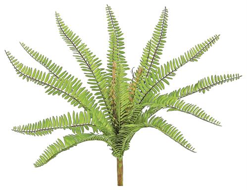 NARROW FERN, 19", PE, UV PROOF, GREEN