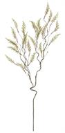 ASTILBE SPRAY, 36", CREAM