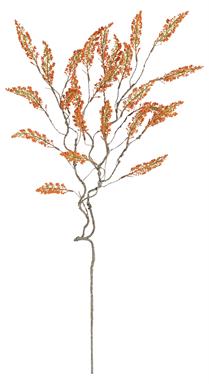 ASTILBE SPRAY, 36", ORANGE