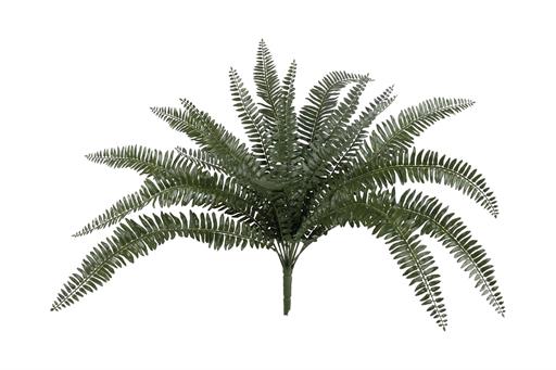 BOSTON FERN BUSH, MEDIUM, 19.69", UV, GREEN