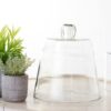 7.5 CLOCHE BELL JAR