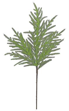 NORFOLK PINE SPRAY, 36", PE, GREEN