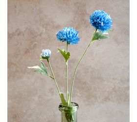 LG BLUE CHRYSANTHEMUM STEM