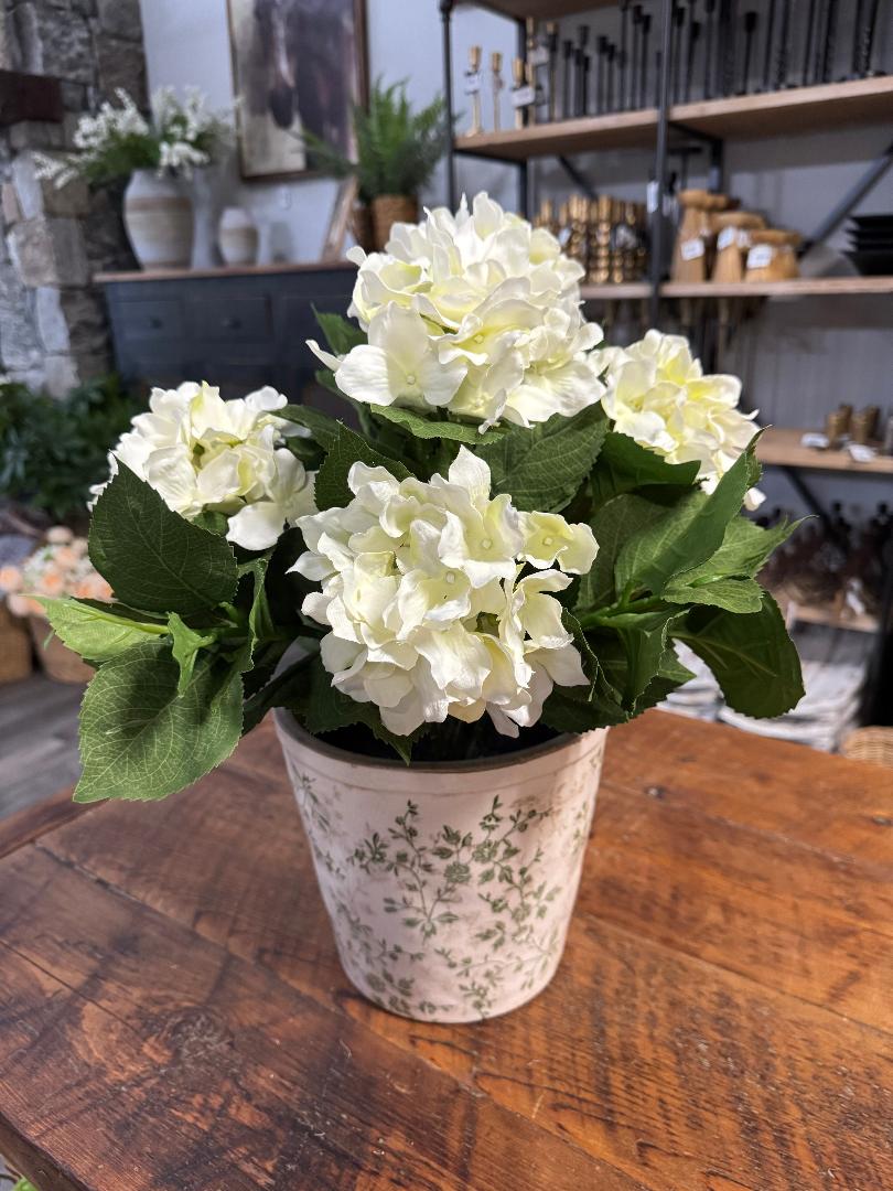 Porch Perfect Hydrangea Bundle