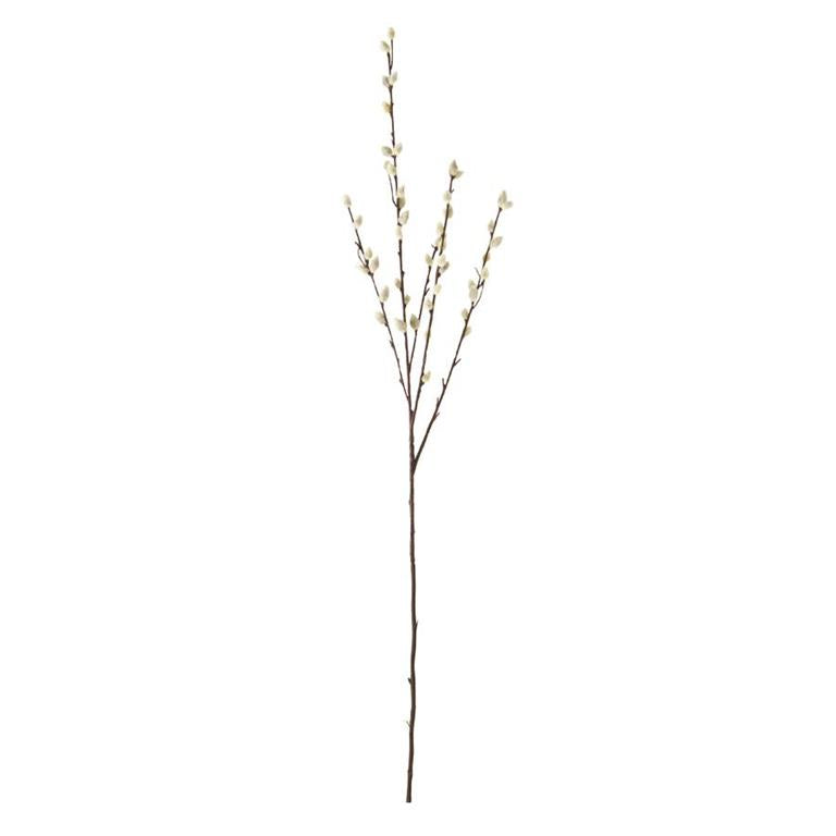 Grey Pussywillow