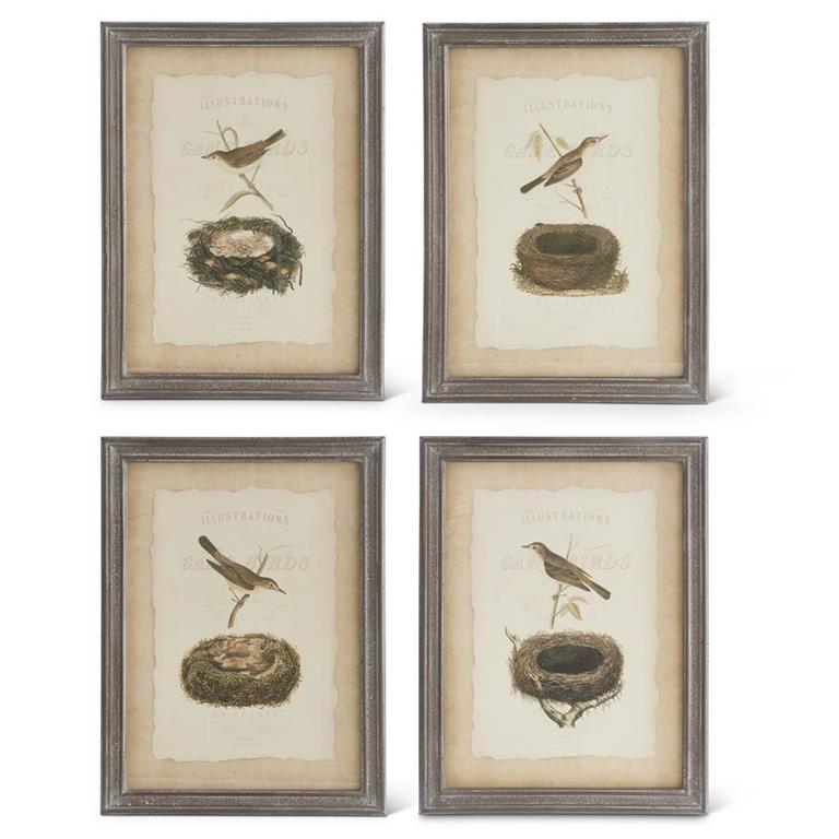 Assorted 23 Inch Bird & Nest Prints w/Black Wood Frame