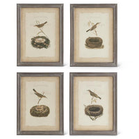 Assorted 23 Inch Bird & Nest Prints w/Black Wood Frame