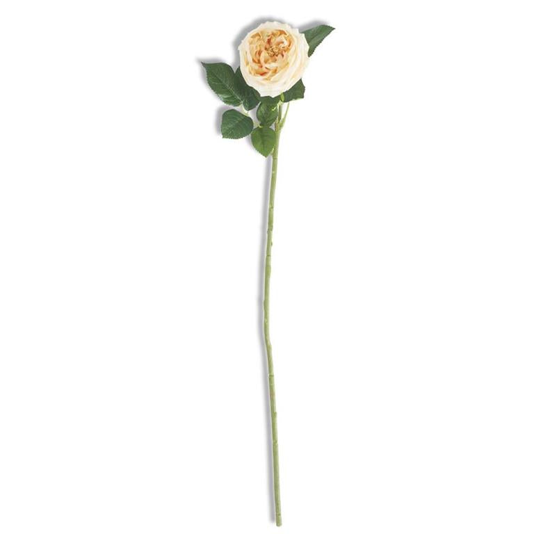 24 Inch Yellow Real Touch Austin Rose Stem