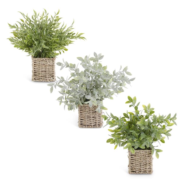 ssorted 12 Inch Herbs in Square Woven Baskets