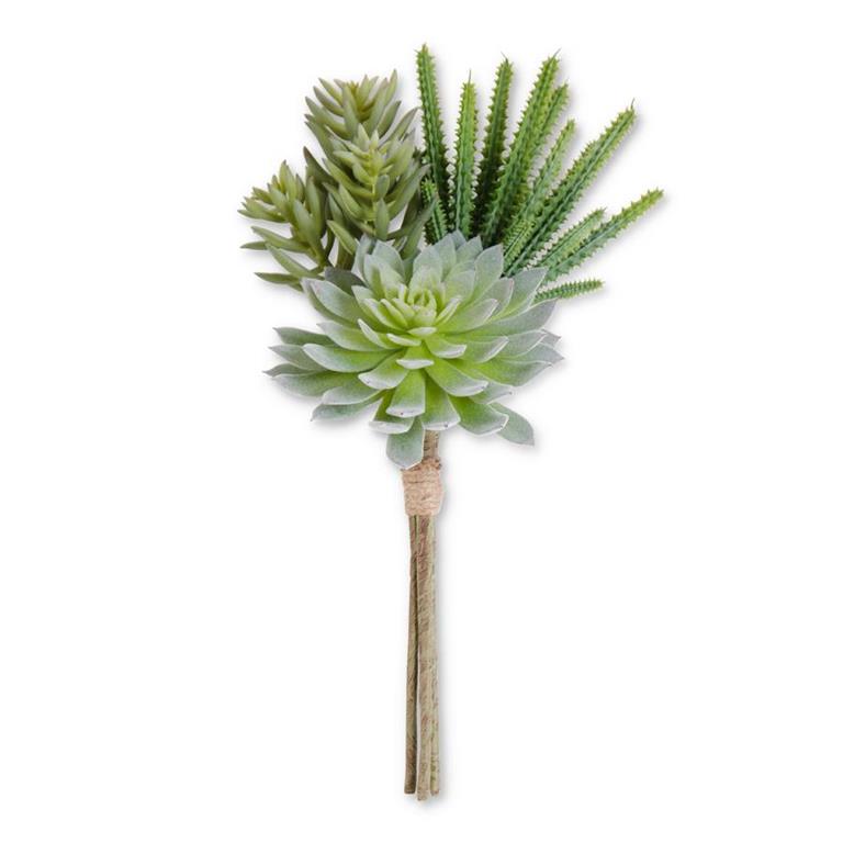 14 Inch Green Assorted Succulent Bundle (3 Stems)