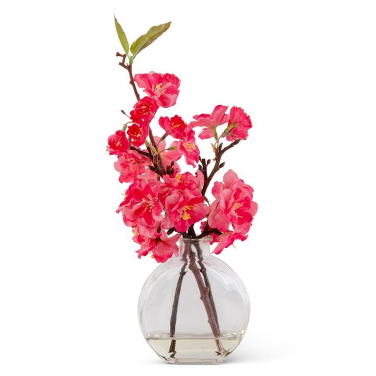 12 Inch Fuchsia Cherry Blossom In Flat Round Glass Vase