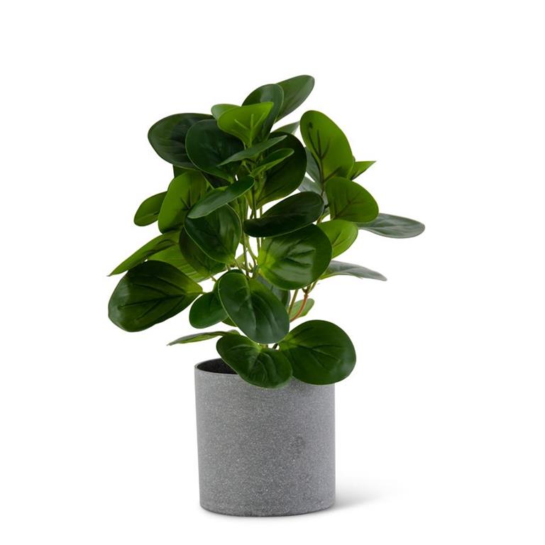 13 Inch Watercress Foliage in Gray Speckled Pot