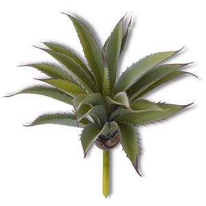 10.25 Inch Green w/Red Aloe Succulent Pick