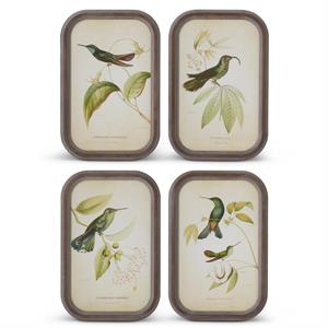 Assorted Rounded Wood Framed Bird Print