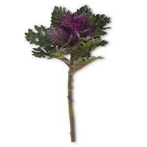 19 Inch Purple & Green Ornamental Cabbage Stem