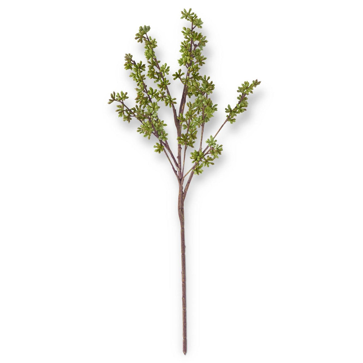 24.5 Inch Green Eucalyptus Berry Stem