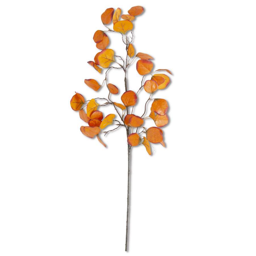 28 Inch Orange Gumdrop Eucalyptus Stem