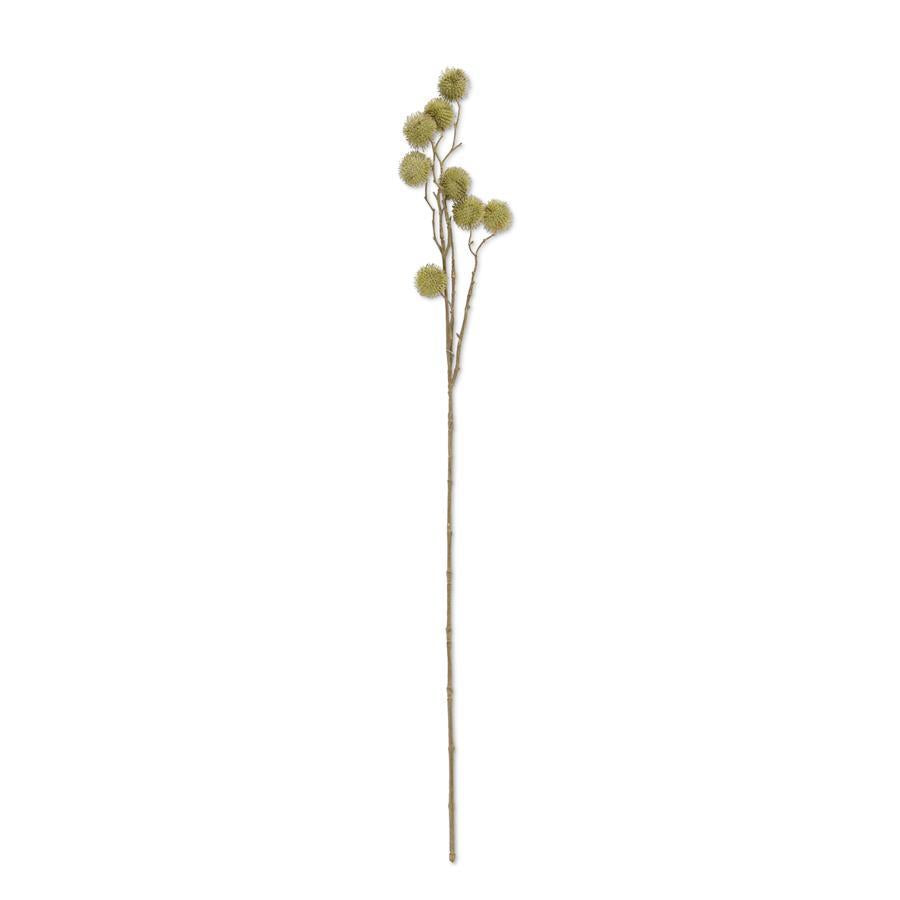 32 INCH GREEN SYCAMORE FRUIT BALL STEM