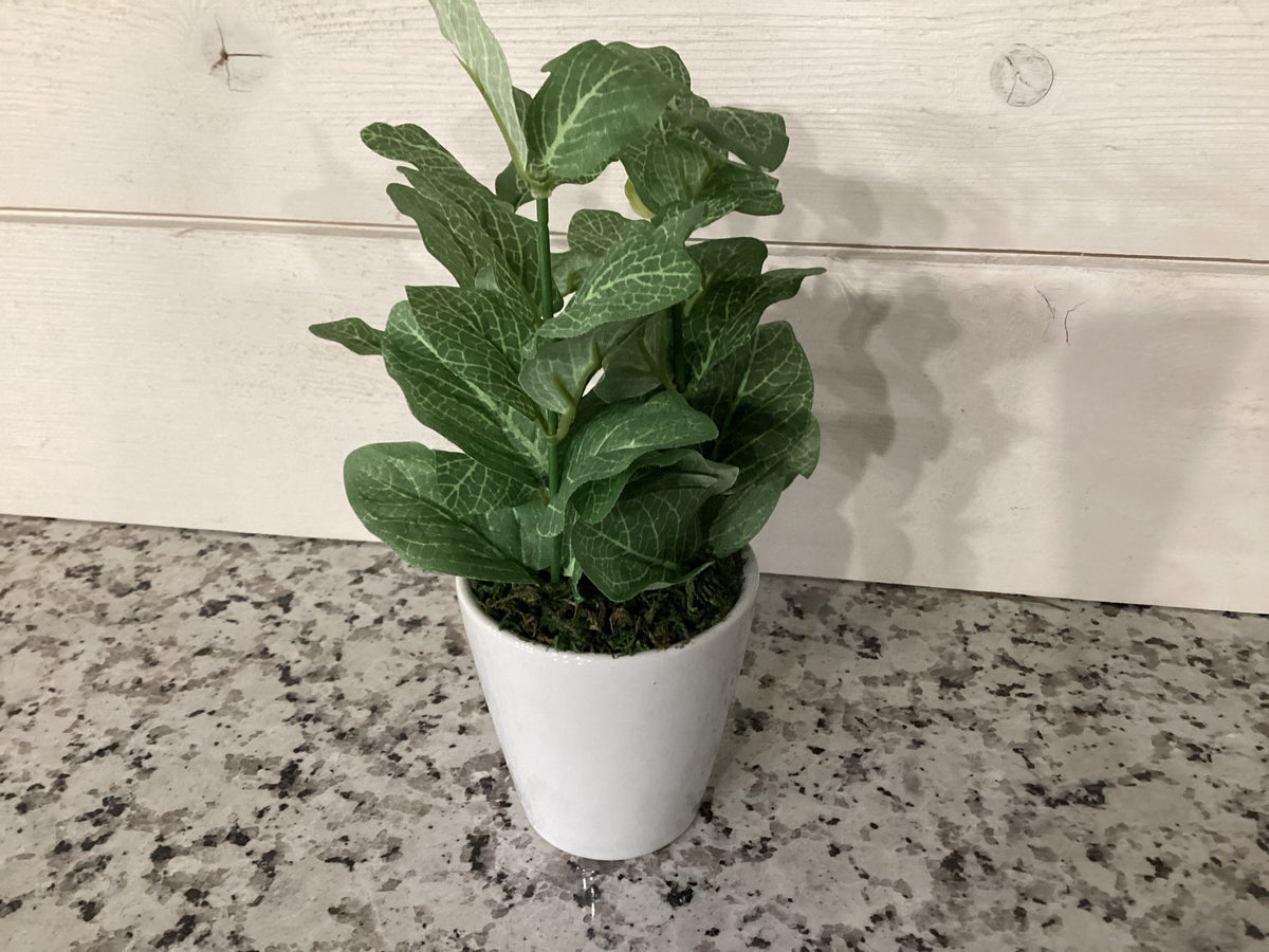 Foliage with white pot