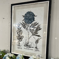 Framed Botanical Floral Print Wall Art