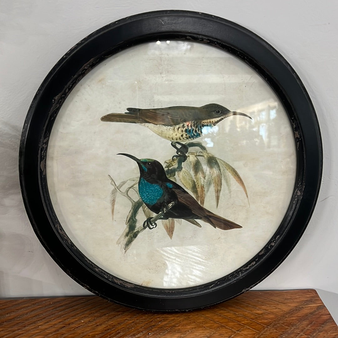 Assorted 13.75 Inch Round Black Distressed Framed Birds