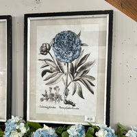 Framed Botanical Floral Print Wall Art