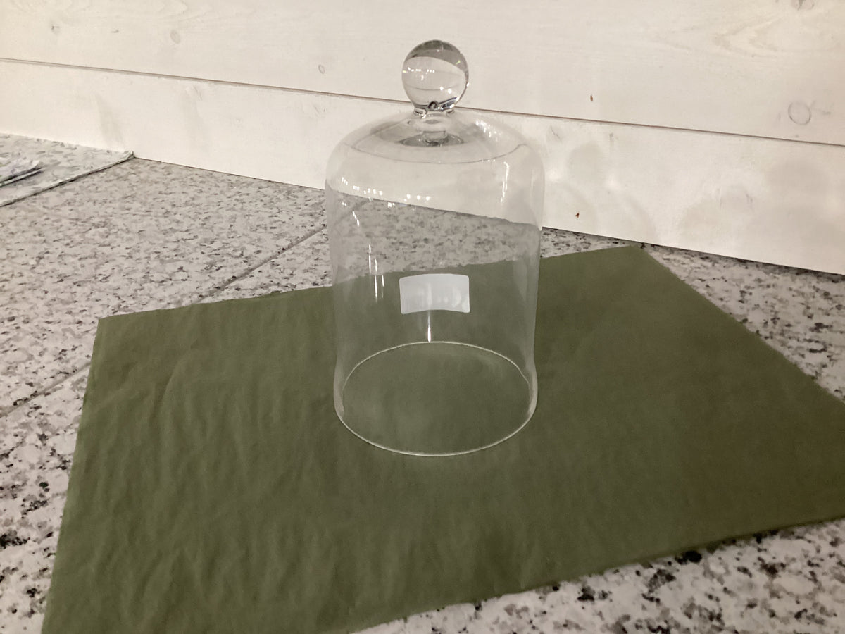 GLASS DOME