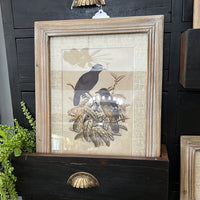 Assorted 17 Inch Bird Prints w/Weathered Frames