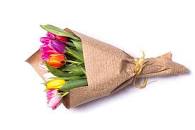 Real Touch Tulip Buds
